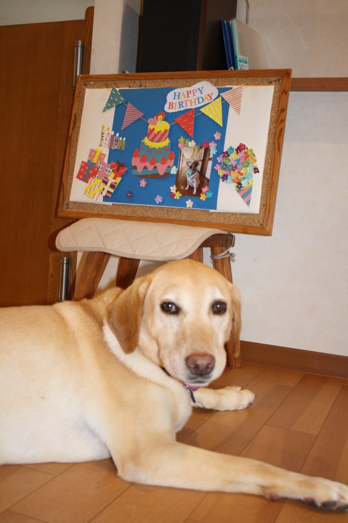 リリーが誕生日を迎えました