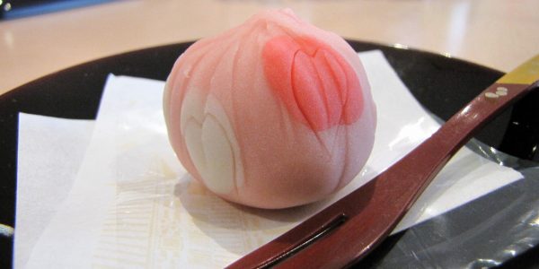 パルシップさんの和菓子　～2019／3～