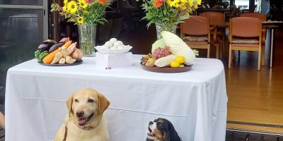 十五夜・中秋の名月