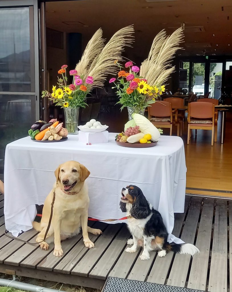 十五夜・中秋の名月