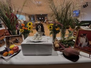 🌕今夜は十五夜🌾