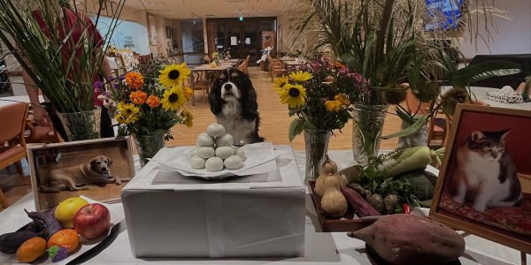 🌕今夜は十五夜🌾